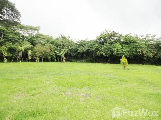 Land for Sale in San Ramon, Alajuela for $65,000