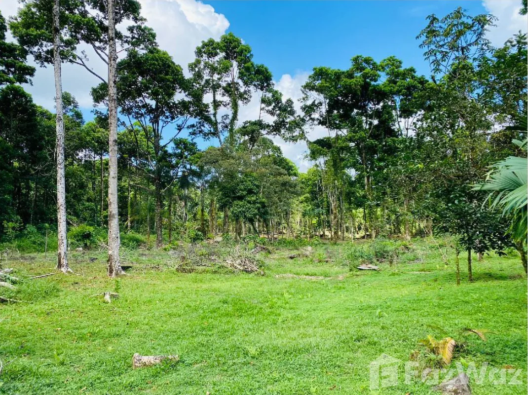 Land for Sale in Pococi, Limon for $275,000