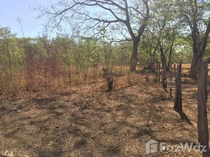 Land for Sale in Carrillo, Guanacaste for $75,000