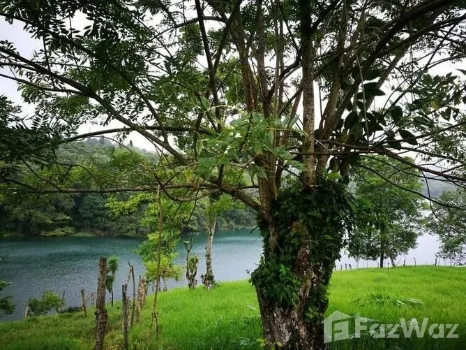 Land for Sale in Tilaran, Guanacaste for $466,220