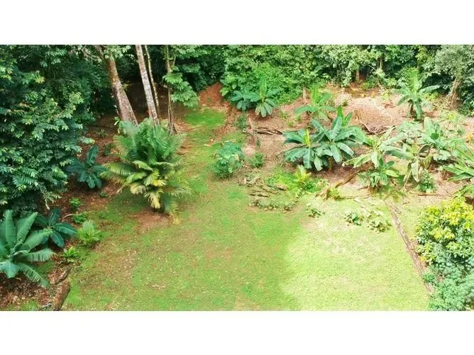Land for Sale in Golfito, Puntarenas for $70,000