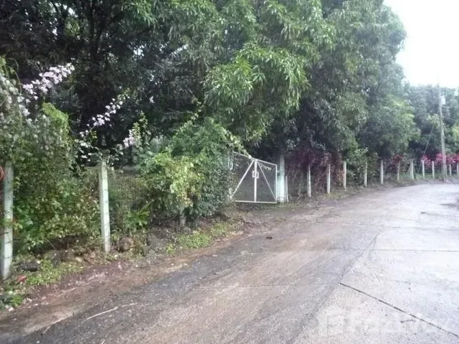 Land for Sale in San Mateo, Alajuela for $83,000