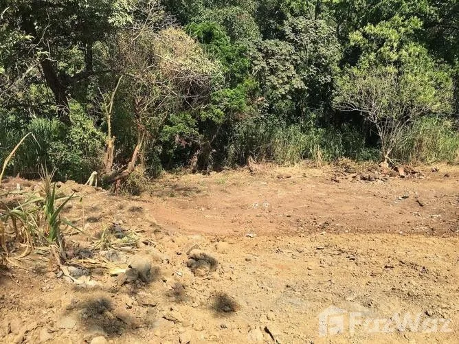 Land for Sale in Atenas, Alajuela for $850,000