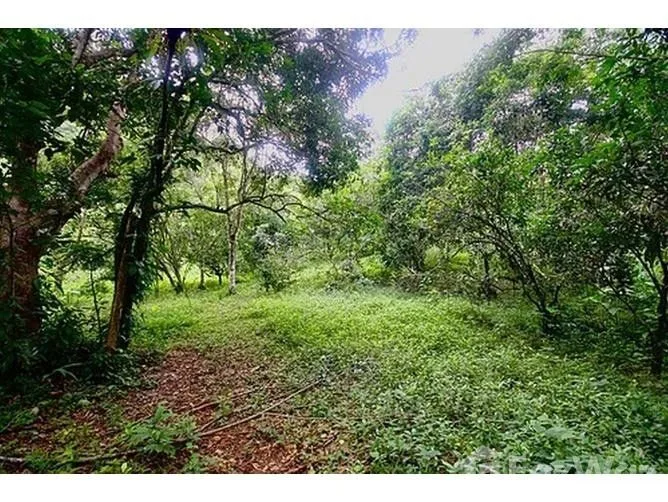 Land for Sale in Aguirre, Puntarenas for $280,000