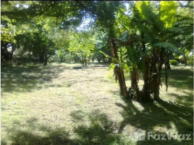 Land for Sale in Alajuela, Alajuela for $95,000