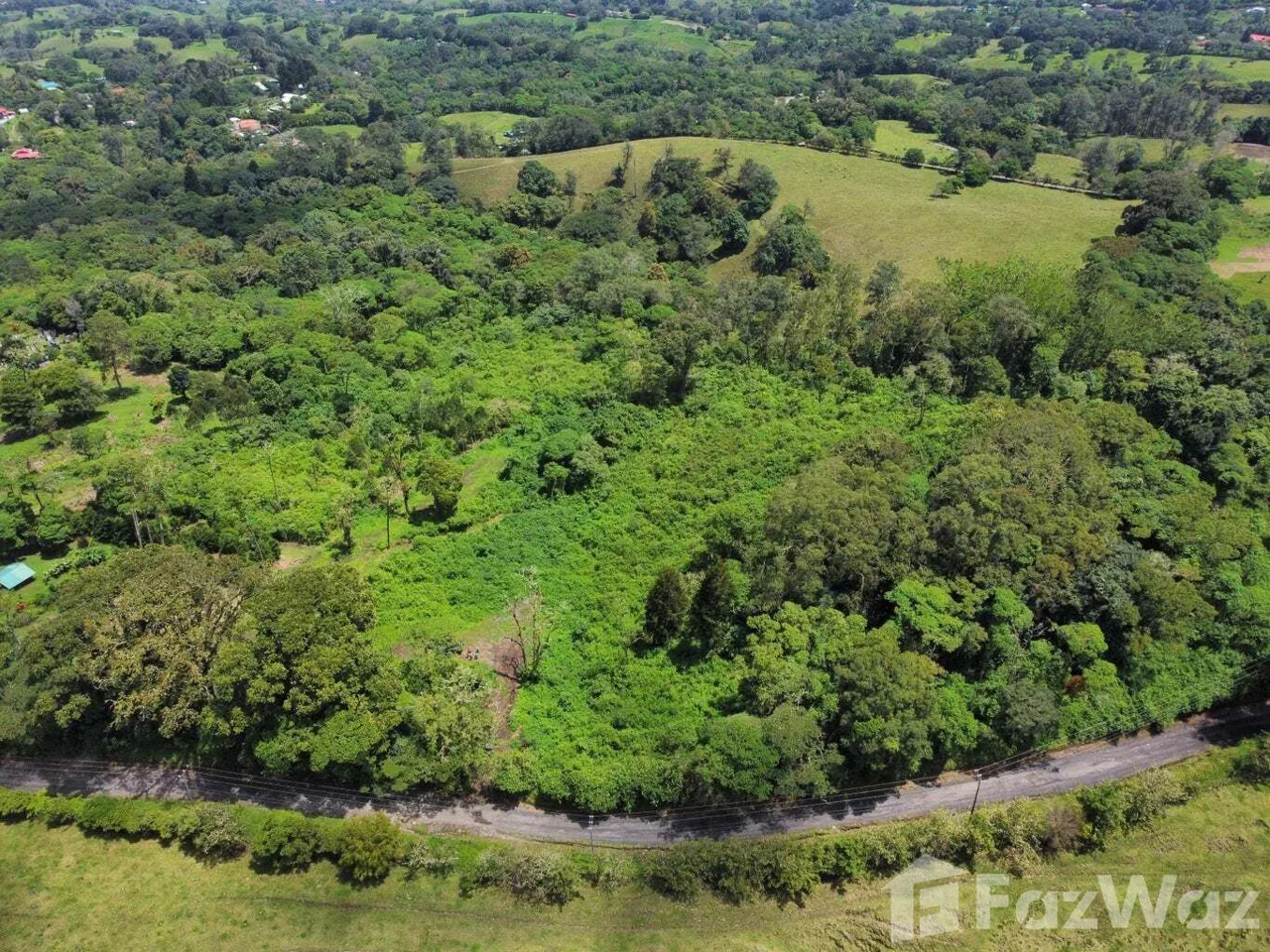 Land for Sale at Montes de Oca for $950,000 — photo 2