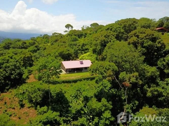 2 Bedroom House for Sale in Osa, Puntarenas for $534,900 — photo 5