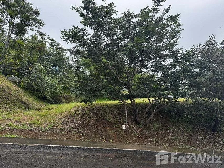 Land for Sale in Santa Cruz, Guanacaste for $80,000