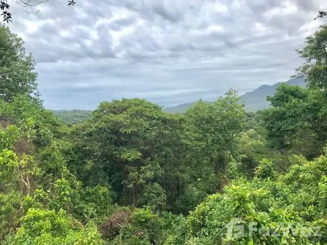 Land for Sale in Osa, Puntarenas for $130,000
