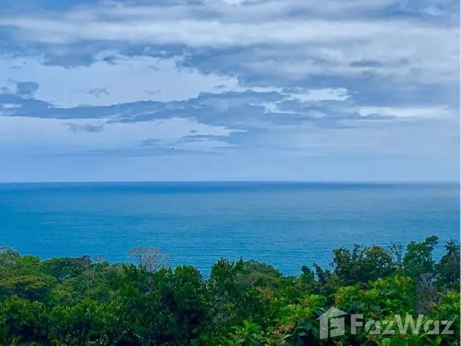 Land for Sale in Osa, Puntarenas for $599,000
