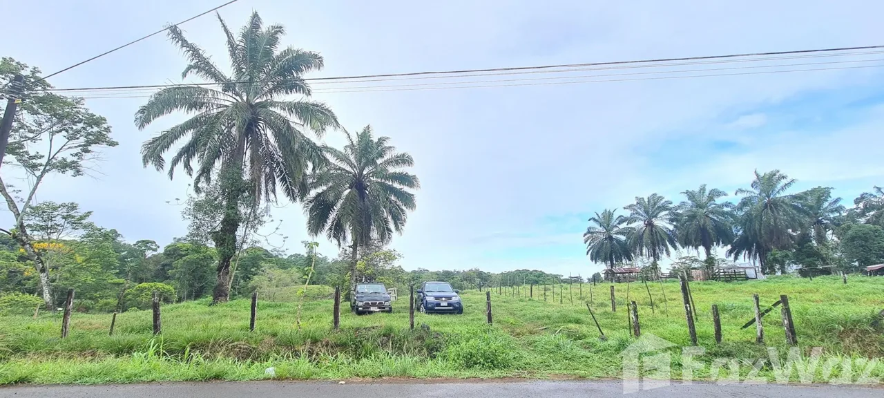 Land for Sale in Sarapiqui, Heredia for $320,000