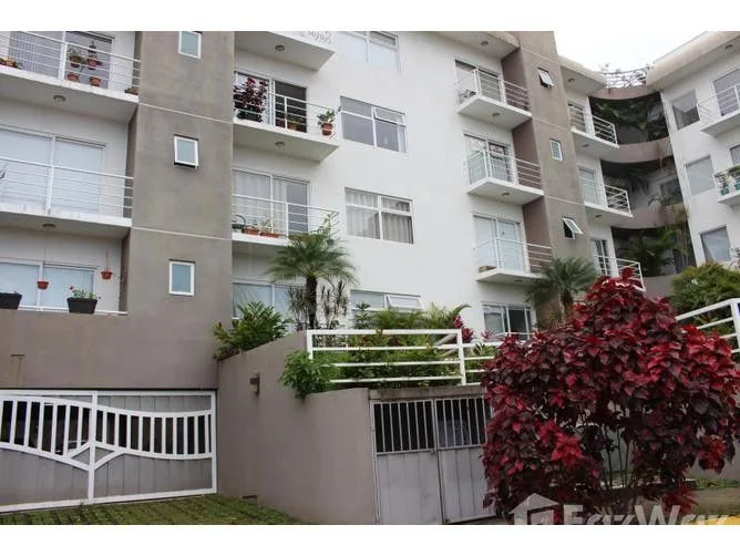 3 Bedroom Apartment for Sale at San Pedro Montes de Oca for $220,000