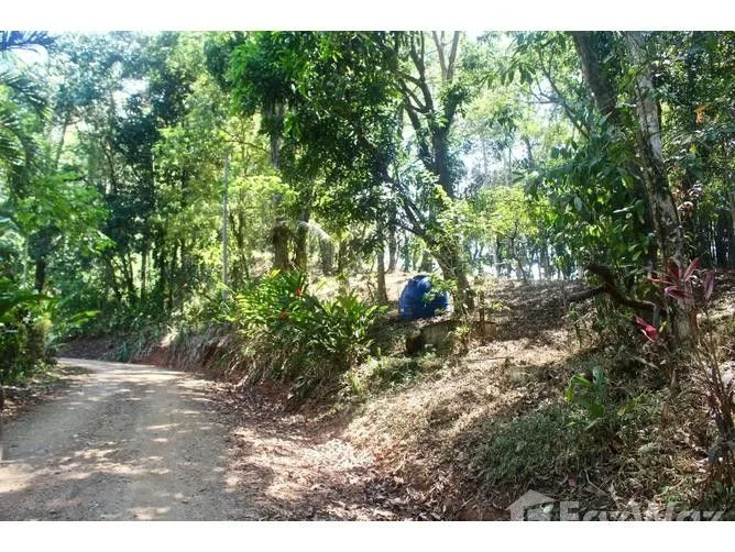 Land for Sale at Uvita for $54,900