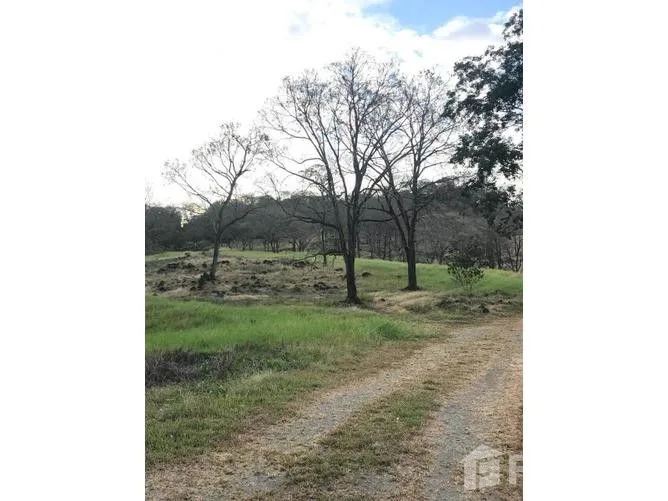 Land for Sale in Atenas, Alajuela for $7,200,000