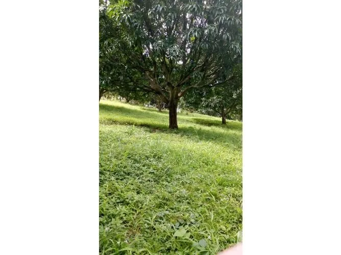 Land for Sale in Atenas, Alajuela for $135,000