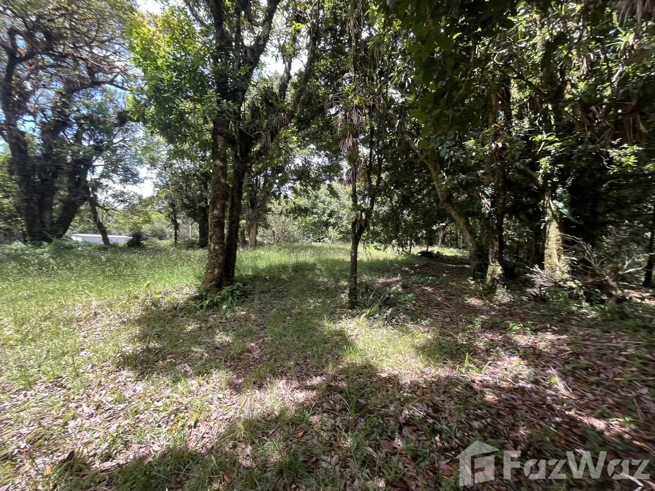 Land for Sale in Dota, San Jose for $33,000