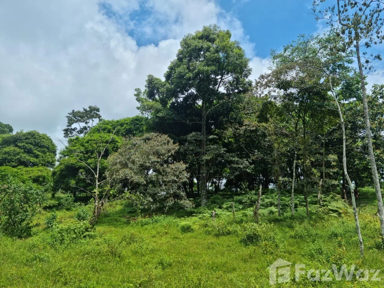 Land for Sale in Guacimo, Limon for $66,000