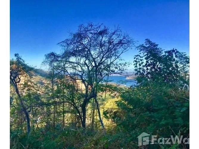 Land for Sale in Carrillo, Guanacaste for $79,900