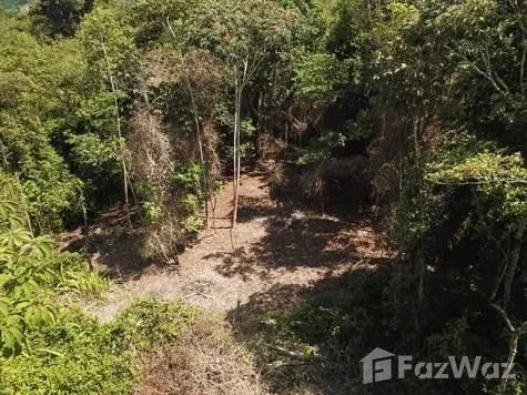 Land for Sale at Ojochal for $129,000