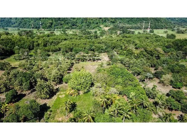 Land for Sale in Aguirre, Puntarenas for $175,000