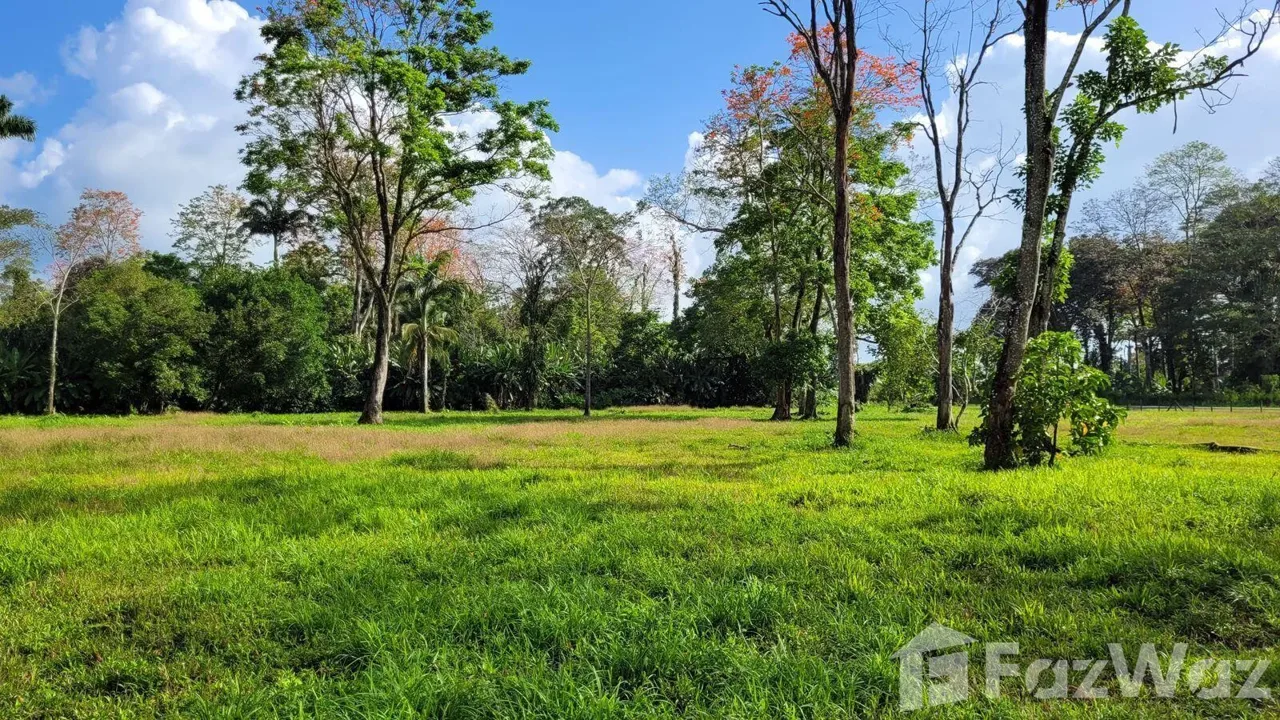 Land for Sale in Limon, Limon for $1,500,000