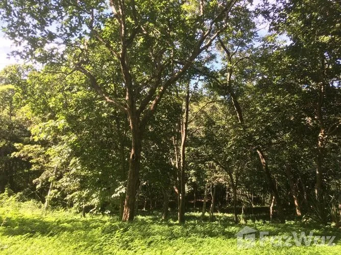 Land for Sale in Santa Cruz, Guanacaste for $95,000