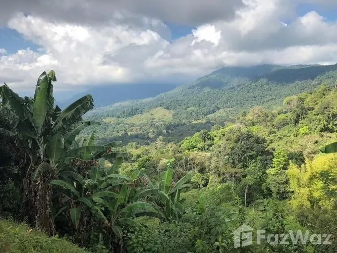 3 Bedroom House for Sale in Osa, Puntarenas for $249,000