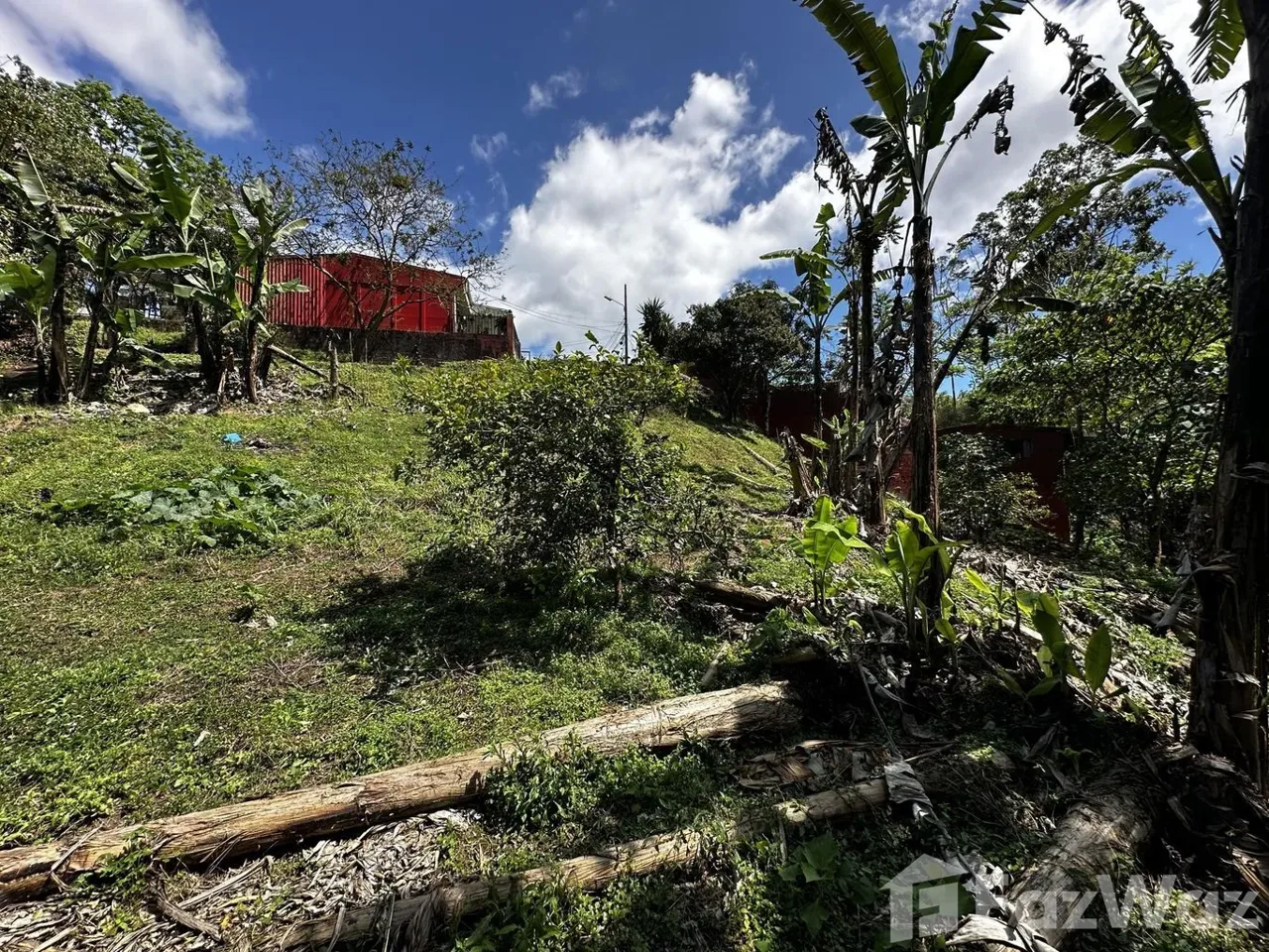 Land for Sale in Montes De Oca, San Jose for $58,600