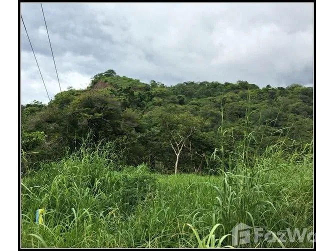 Land for Sale at Playa Flamingo for $129,000