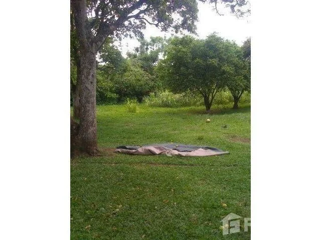Land for Sale in Mora, San Jose for $850,000 — photo 2