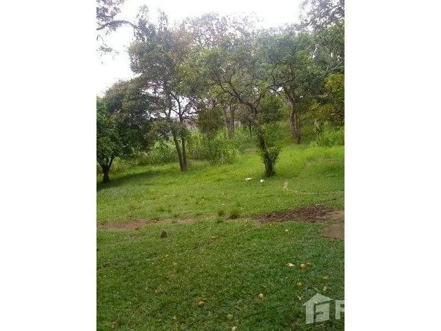 Land for Sale in Mora, San Jose for $850,000 — photo 4