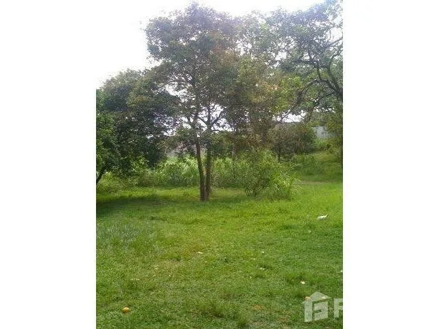Land for Sale in Mora, San Jose for $850,000 — photo 5