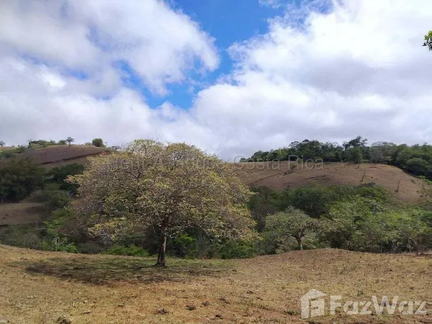 Land for Sale at Alajuela for $1,200,000