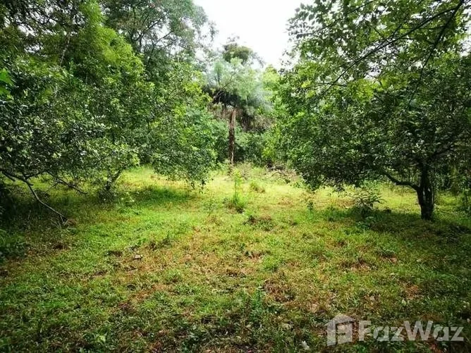Land for Sale in Upala, Alajuela for $50,190