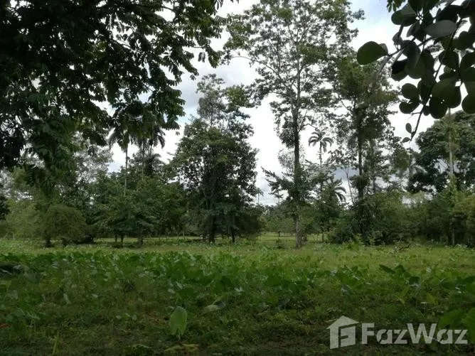 Land for Sale in Sarapiqui, Heredia for $265,000