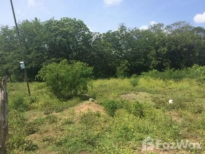 Land for Sale in Liberia, Guanacaste for $1,000,000