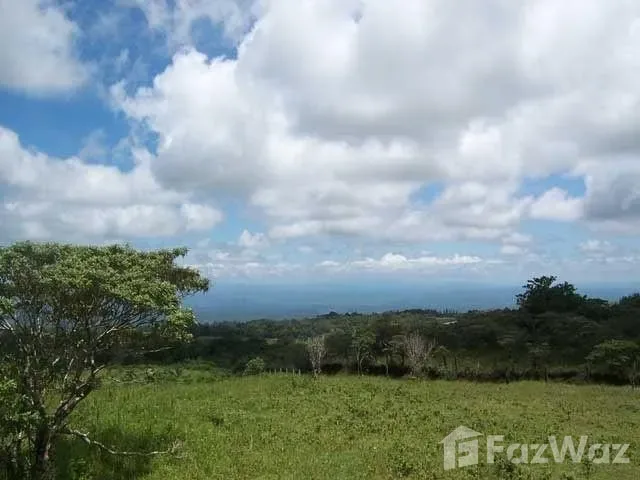 Land for Sale in Tilaran, Guanacaste for $75,000