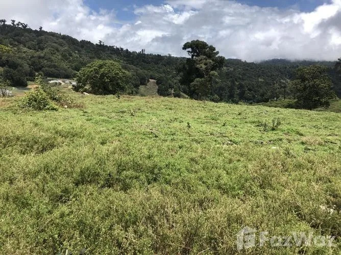 Land for Sale in Dota, San Jose for $845,000 — photo 3