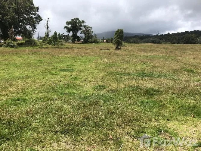 Land for Sale in Dota, San Jose for $845,000 — photo 4