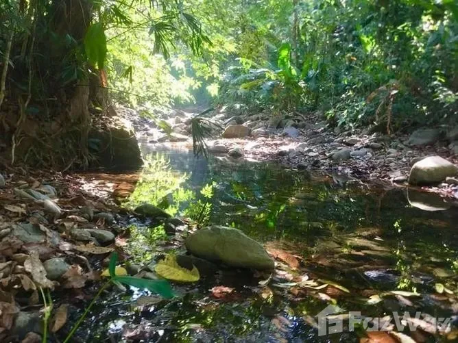 Land for Sale in Osa, Puntarenas for $49,000