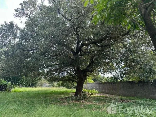 Land for Sale at Liberia for $505,208