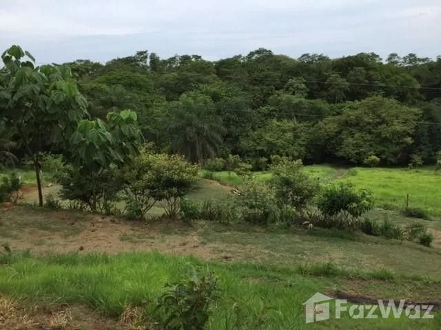 Land for Sale in Alfaro Ruiz, Alajuela for $8,000,000