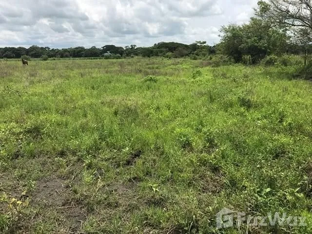 Land for Sale in Liberia, Guanacaste for $13,300,000