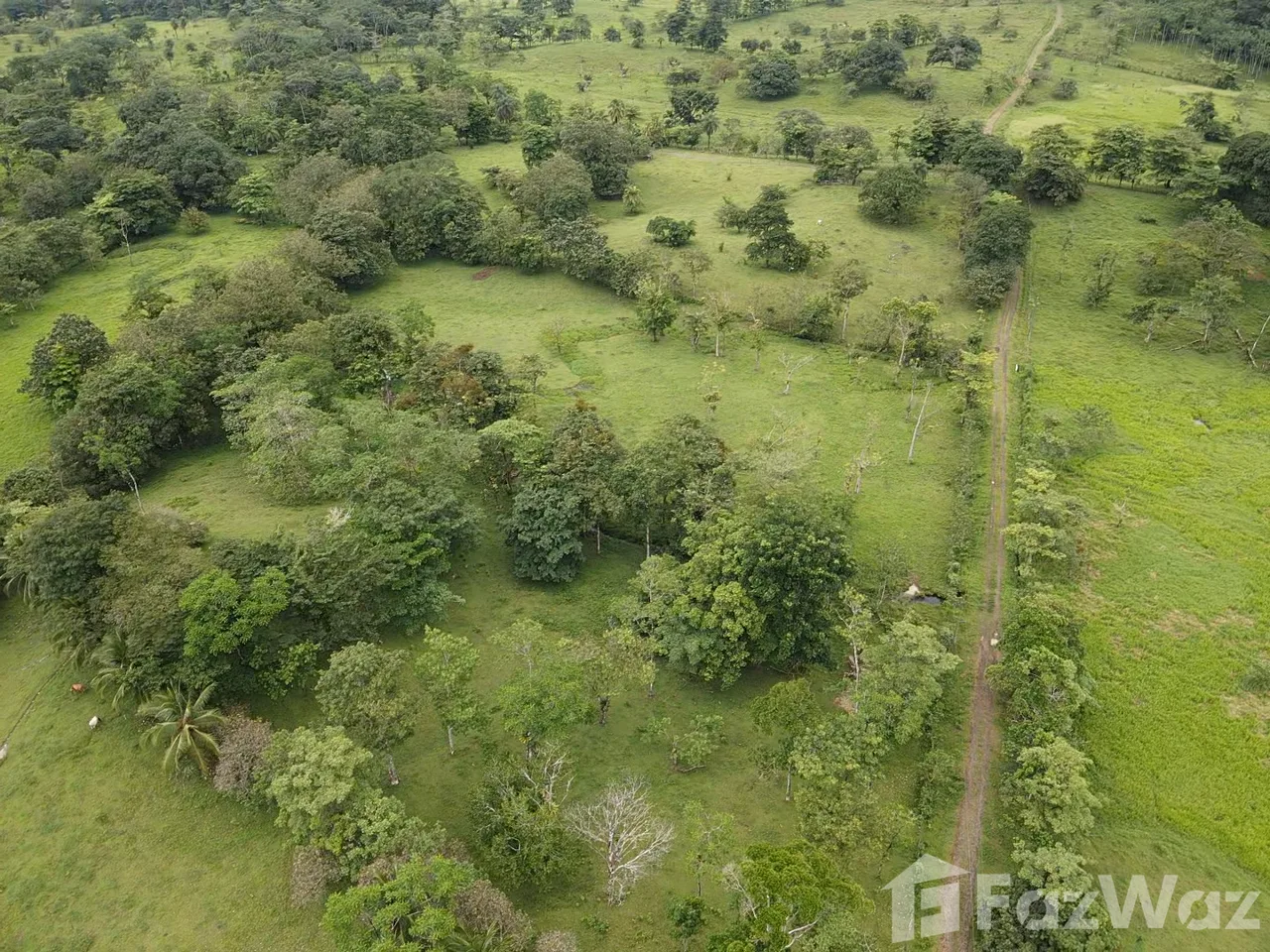 Land for Sale in Upala, Alajuela for $150,000
