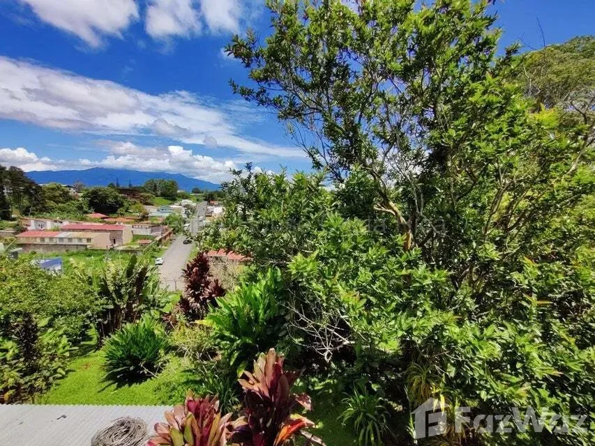 Land for Sale at Montes de Oca for $145,000 — photo 2