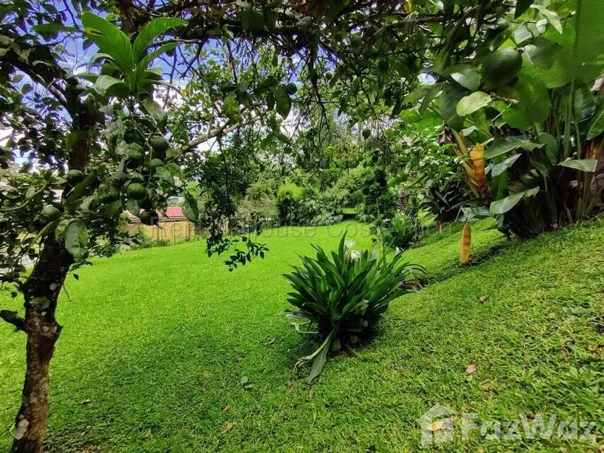 Land for Sale at Montes de Oca for $145,000 — photo 3