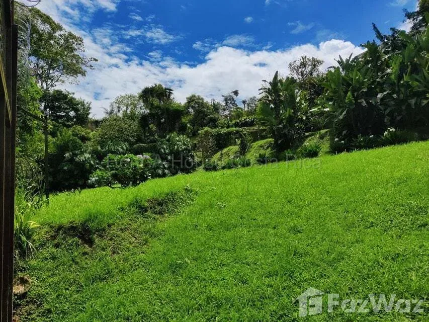 Land for Sale at Montes de Oca for $145,000 — photo 4