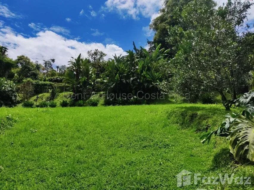 Land for Sale at Montes de Oca for $145,000 — photo 5