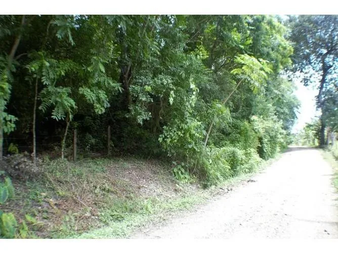 Land for Sale in Nicoya, Guanacaste for $35,000