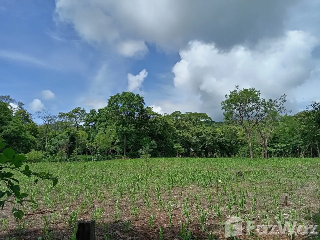 Land for Sale in Nicoya, Guanacaste for $0